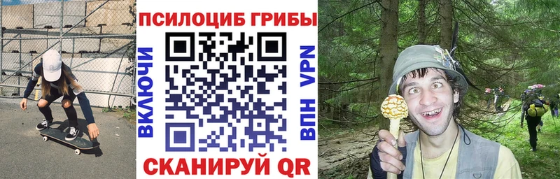 гидра ONION  Губкин  Галлюциногенные грибы Magic Shrooms  наркотики 